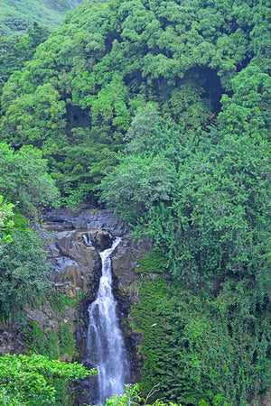 Open image in slideshow, Makahiku Falls

