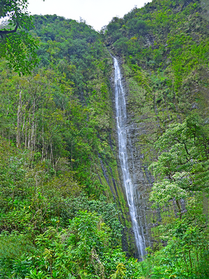 Open image in slideshow, Waimoku Falls

